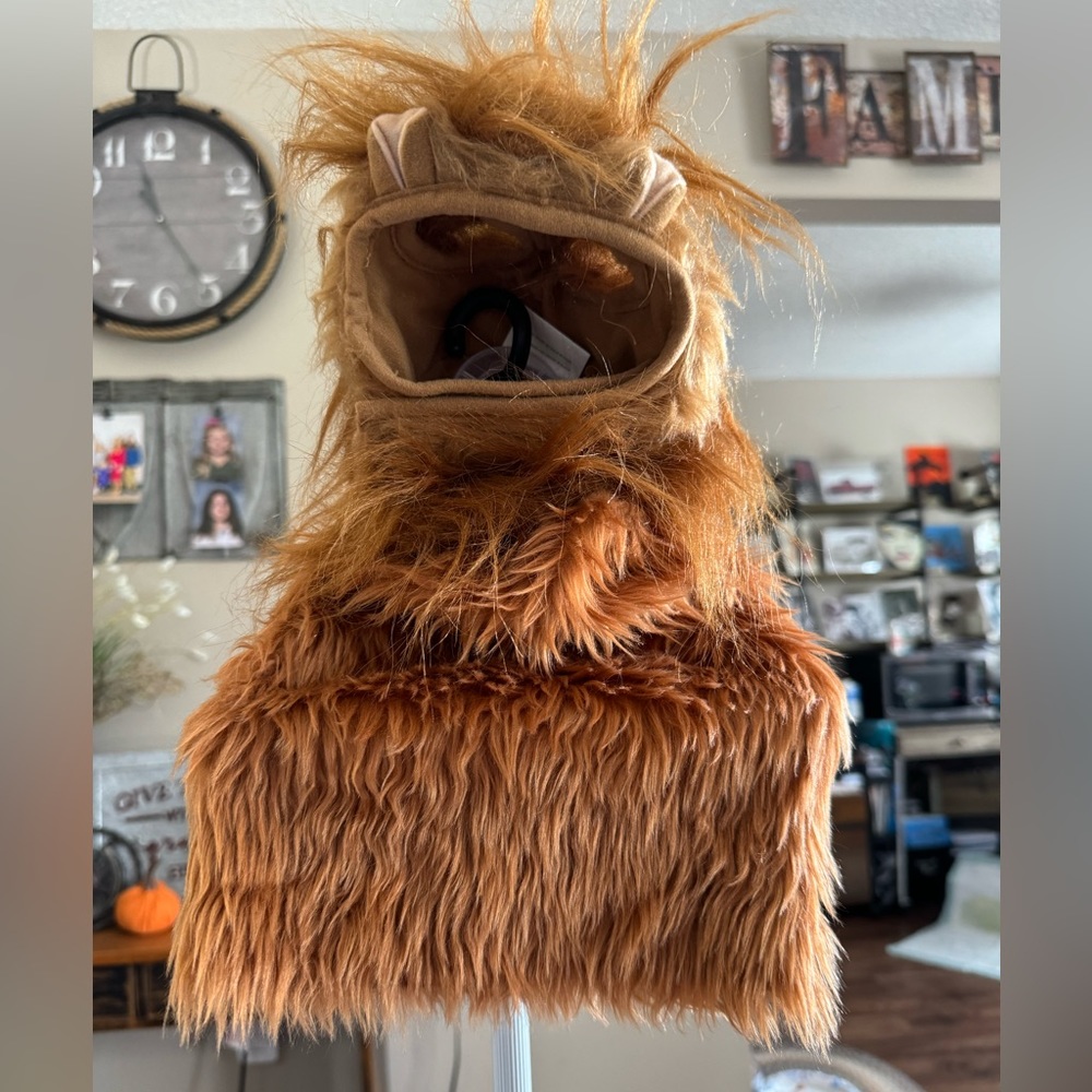 Lion costume for a dog size small medium